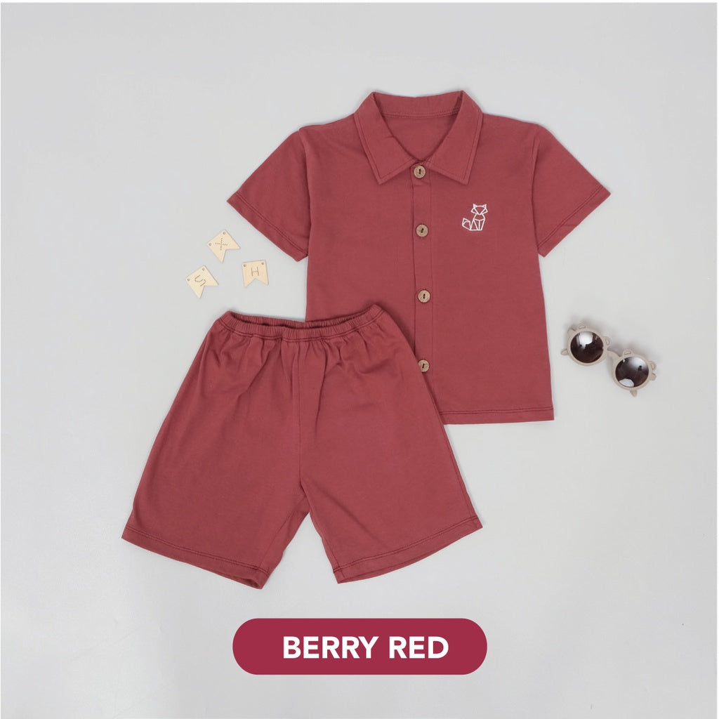 Mooi Setelan Anak Laki-laki Leon Set